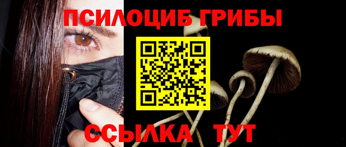 Галлюциногенные грибы мицелий  где купить   Зерноград  Псилоцибиновые грибы Cubensis  Вход с VPN 
