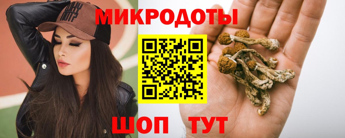Галлюциногенные грибы MAGIC MUSHROOMS Зерноград